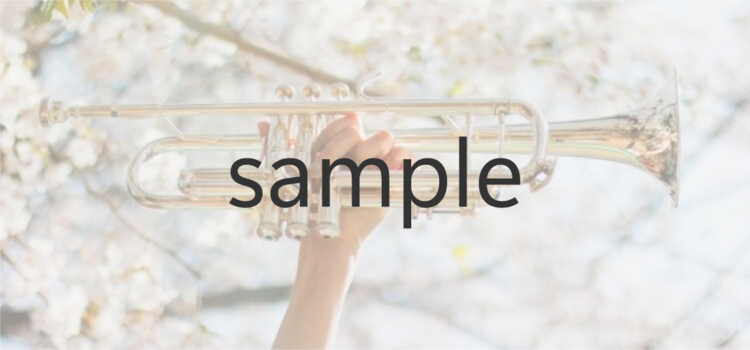 sample2